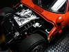 tz066.JPG