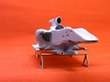 f1001-96.jpg