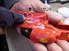 f1001-140.jpg