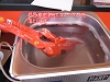 f1001-155.jpg