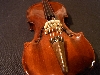 RIMG1370.JPG