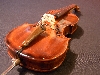 RIMG1371.JPG