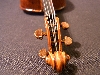 RIMG1373.JPG
