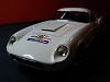 250tdF (40).JPG