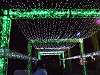 il002.JPG