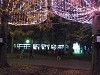il012.JPG