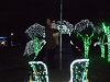 il035.JPG