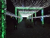 il038.JPG