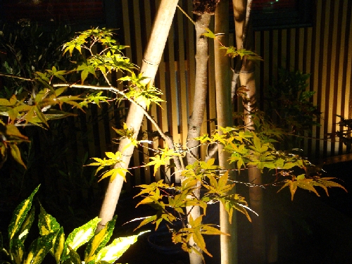 DSC01624.JPG