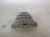 RIMG0747.JPG