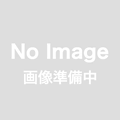 TD23010  1/12～1/24 エレクトリックコネクターセット A(　トップスタジオ)