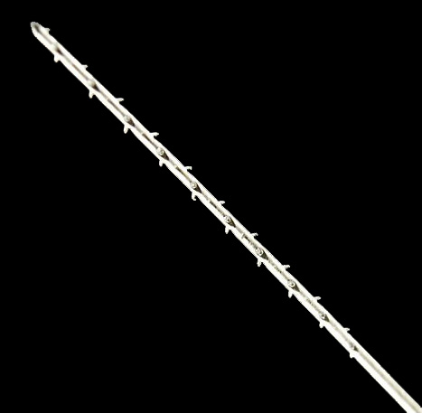 bp535_04.jpg