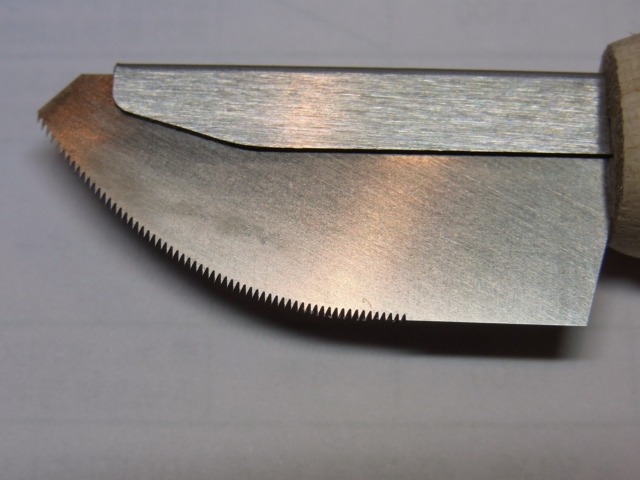 bp577_2.JPG